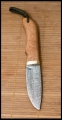 fo02-01