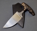 LA229-04
