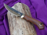 rs01-01