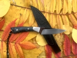 RB073-2