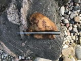 RB083-3