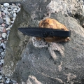 RB083-6