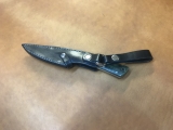 RB084-7