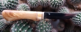 SD005-01