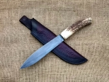 Sephas_01