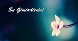 Su-Gimtadieniu