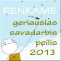 Geriausias-savadarbis-peilis-2013