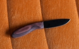 ss02-01