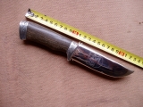 a15(8)