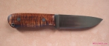 tm19-02